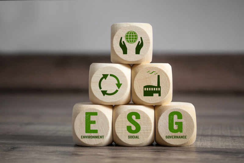 A Importância da Certificação ESG para o Futuro das Empresas